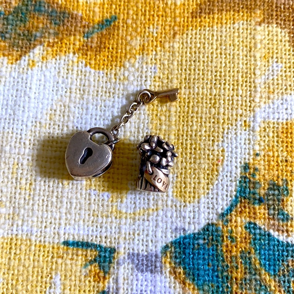 Pandora charms love bunch ❤️🌸